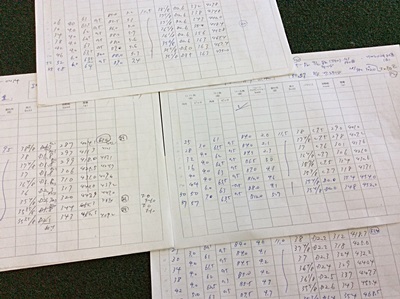 オネストで計測した記録, iron data sheets by HONEST