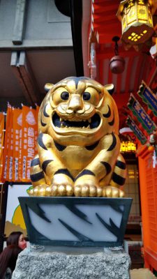 2022年寅年,tiger in japan